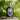 Bottle of limited edition reserve birch syrup with a label on a wooden stump against a blurred natural background