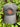 Gray cap with red Hammers Family Birch logo on a background of green plants