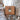 Handcrafted birch sap soap in a brown cardboard box against a birch tree background