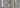 Close-up of a birch tree trunk with a blurred background from Alaska boreal forest
